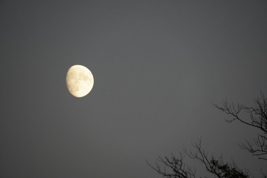 waxing gibbous moon on the sky