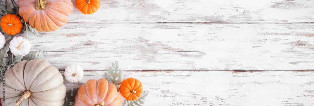 Poster fall corner border of assorted pumpkins and soft green leaves over a rustic white wood banner backgr