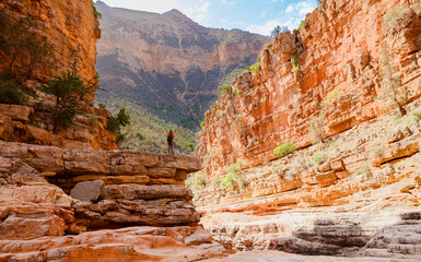 Breathtaking canyon and alone woman with arms raised- adventure, freedom, travel concept (Agadir,...