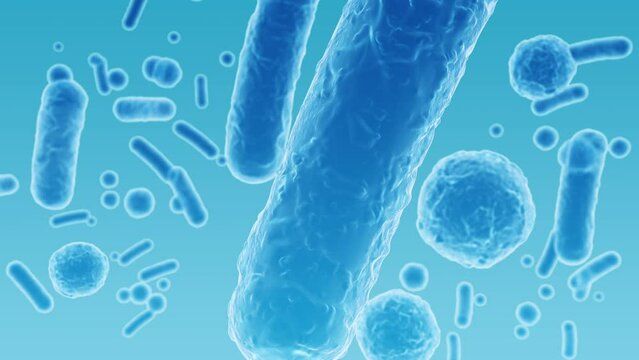 Enterobacteriaceae, gram-negative rod-shaped bacteria, part of intestinal microbiome and causative agents of different infections, 3D rendering. Escherichia coli, Klebsiella, Enterobacter and other