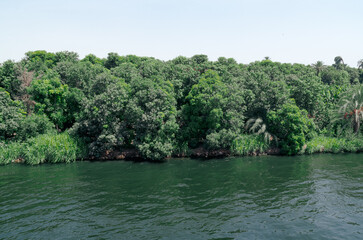 View from the Nile river in Egypt