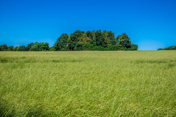 A view across the fields around the Souldern viaduct in Oxfordshire, UK in summertime