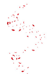Fototapeta na wymiar Red Blossom Tender Vector White Background. Blur