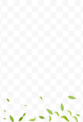 Swamp Greens Motion Vector Transparent Background