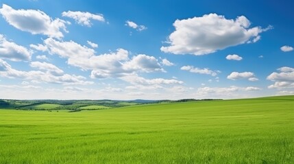 Naklejka premium Panoramic Green Field and Sky