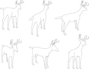 Vector sketch illustration of antelope animal with long horns 