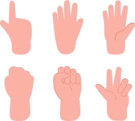 Hand gestures set. Pointing finger and fist front and back view