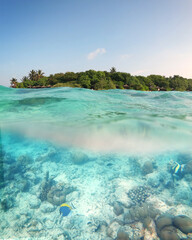 Fototapeta na wymiar A Maldives island shot partly from under water. Exotic fish in the foreground