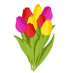 spring tulip flower art drawn bouquet