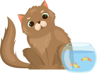 Cat look at fish tank. Funny kitten character