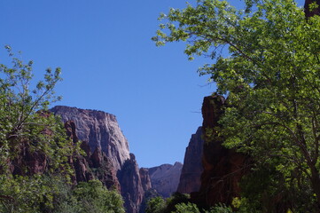 Zion Weeping Rock Trail View