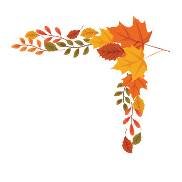 Corner border autumn leaves design