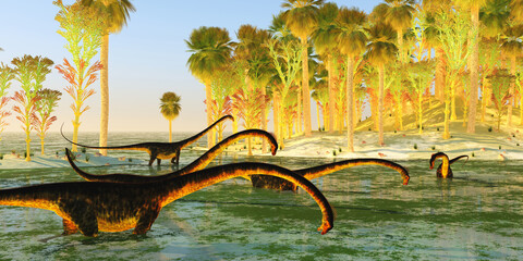 Barosaurus visits Swamp - A herd of Barosaurus sauropod dinosaurs munch on wetland plants during the Jurassic Period. - obrazy, fototapety, plakaty