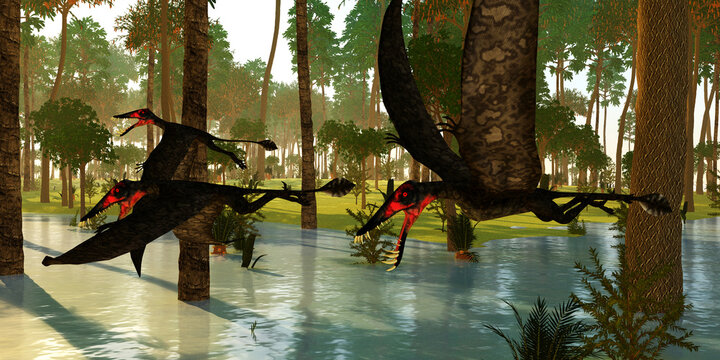 Dorygnathus Pterosaurs Fishing - A flock of Dorygnathus Pterosaurs search a flooded forest for fish or animals as prey during the Jurassic Period.