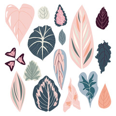 Beautiful tropical leaves. Clipart, isolated elements. colorful leaf, monstera leaves, flower line decoration for wallpaper, covers, postcard packaging. Design for cosmetics, product, spa, decoration.