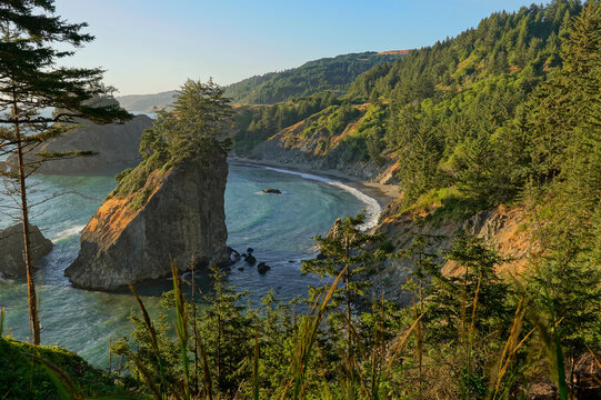 Oregon Coast from Arch Rock viewpoint.