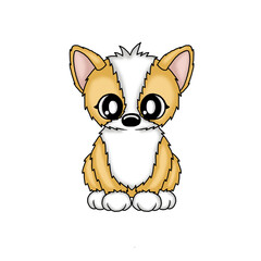 cute corgi puppy