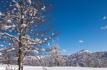 Paisaje de invierno en Bariloche con vista de la cafetería del Cerro Otto al fondo. Patagonia, Argentina. 