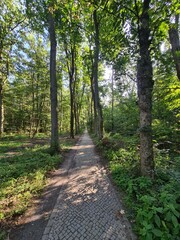 sidewalk path in Berlin Rahnsdorf