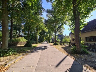 walking in sunshine through Schöneiche in Brandenburg