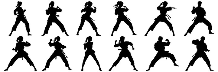 Kung fu karate taekwondo silhouettes set, large pack of vector silhouette design, isolated white background