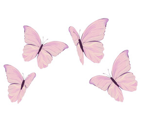 Fototapeta premium butterfly hand drawn watercolor vector