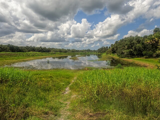 landscape with river