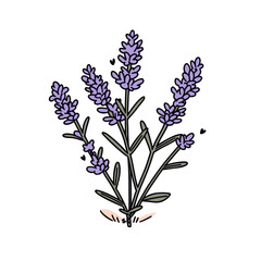 Fototapeta na wymiar Lavender plant vector icon in minimalistic, black and red line work, japan web