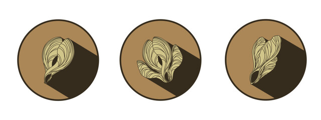 Maple seed logo with shadow. Vector images of natural elements on a brown background for eco design. Linear drawing of a maple lionfish. Autumn mood.