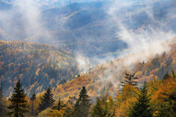 Autumn landscape - view of the mountains covered with forest under the autumn sky in the Carpathians, Ukraine