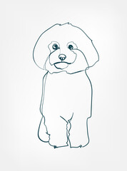 Bichon Frise dog breed animal vector line art one line sketch outline