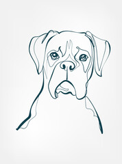 Boxer dog breed animal vector line art one line sketch outline