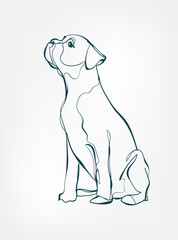 Boxer dog breed animal vector line art one line sketch outline - 645835817