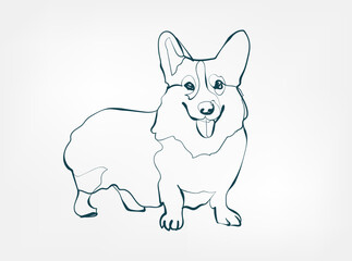Corgi dog breed animal vector line art one line sketch outline