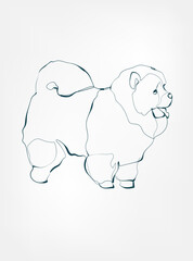 chow chow dog breed animal vector line art one line sketch outline