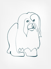 coton de tulear dog breed animal vector line art one line sketch outline