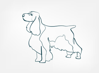 Field Spaniel dog breed animal vector line art one line sketch outline