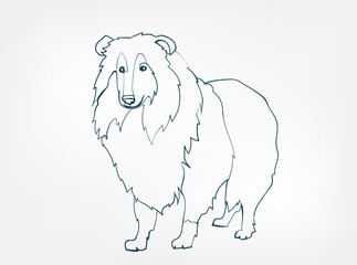 collie dog breed animal vector line art one line sketch outline
