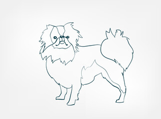 Japanese Chin dog breed animal vector line art one line sketch outline