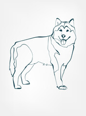 Husky dog breed animal vector line art one line sketch outline