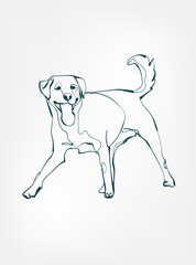 Labrador dog breed animal vector line art one line sketch outline
