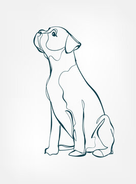 Boxer dog breed animal vector line art one line sketch outline