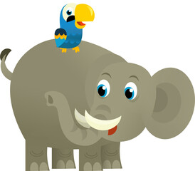 Cartoon wild animal happy young elephant and parrot on white background - illustration for the children