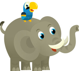 Cartoon wild animal happy young elephant and parrot on white background - illustration for the children