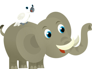 Cartoon wild animal happy young elephant and parrot on white background - illustration for the children