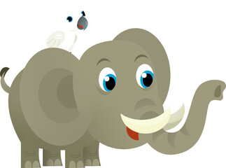 Cartoon wild animal happy young elephant and parrot on white background - illustration for the children