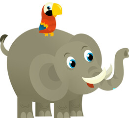Cartoon wild animal happy young elephant and parrot on white background - illustration for the children