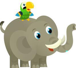 Cartoon wild animal happy young elephant and parrot on white background - illustration for the children