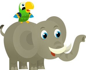 Cartoon wild animal happy young elephant and parrot on white background - illustration for the children