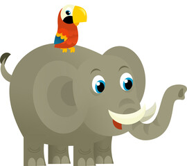 Cartoon wild animal happy young elephant and parrot on white background - illustration for the children
